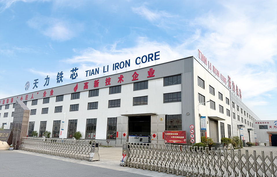 Taizhou Tianli ijzeren kern Manufacturing Co., Ltd.