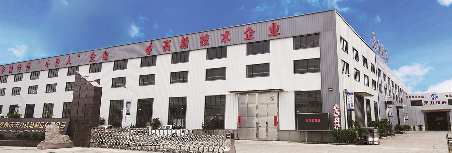 Taizhou Tianli ijzeren kern Manufacturing Co., Ltd.