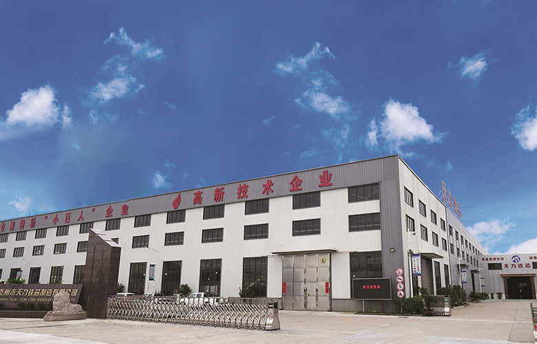 Taizhou Tianli ijzeren kern Manufacturing Co., Ltd.