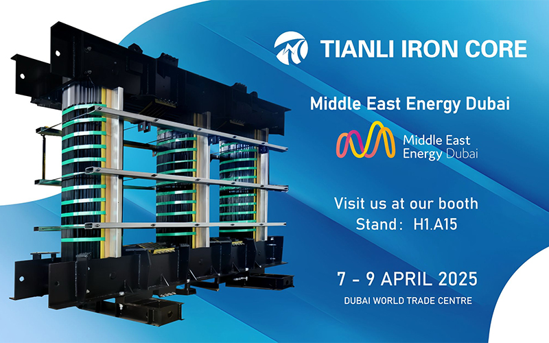 Taizhou Tianli ijzeren kern Manufacturing Co., Ltd.